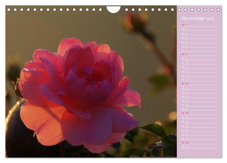Produktbild: Blumenfreude (Wandkalender 2026 DIN A4 quer), CALVENDO Monatskalender