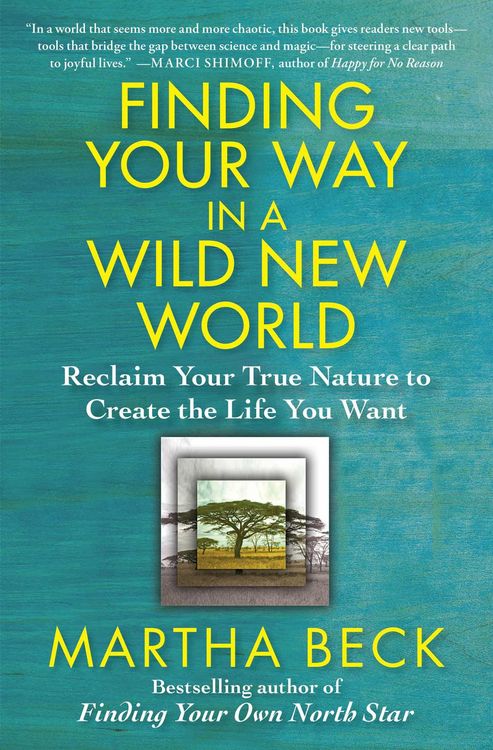 Produktbild: Finding Your Way in a Wild New World