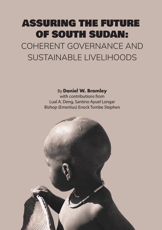 Produktbild: Assuring the Future of South Sudan