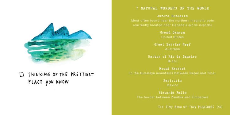 Produktbild: The Tiny Book of Tiny Pleasures