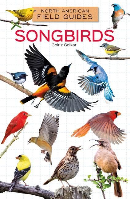 Produktbild: Songbirds