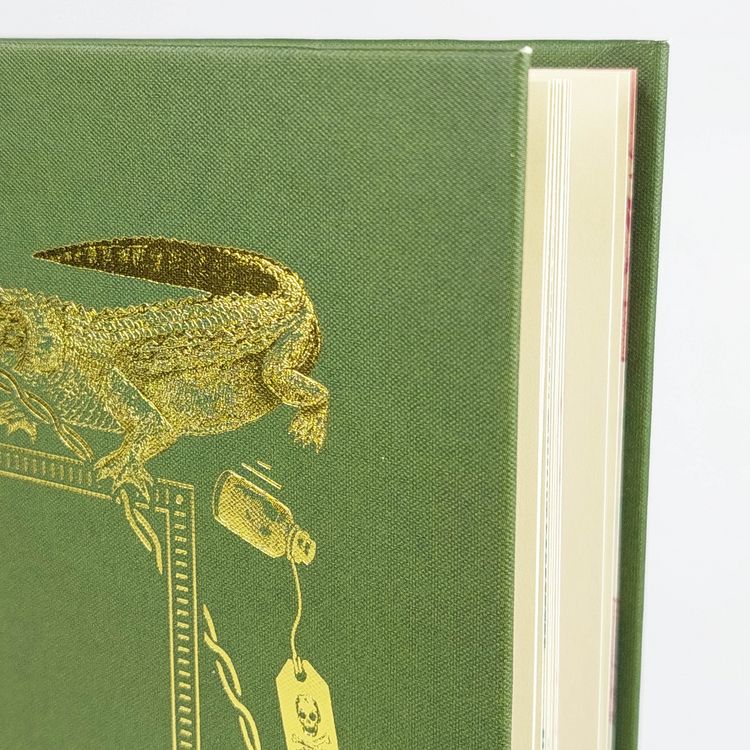 Produktbild: Das Buch, das nicht gelesen werden wollte