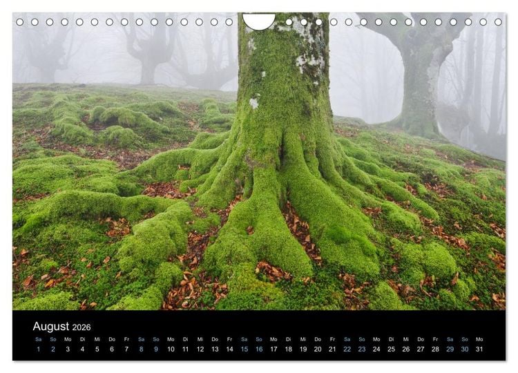 Produktbild: Wildes Europa 2026 (Wandkalender 2026 DIN A4 quer), CALVENDO Monatskalender