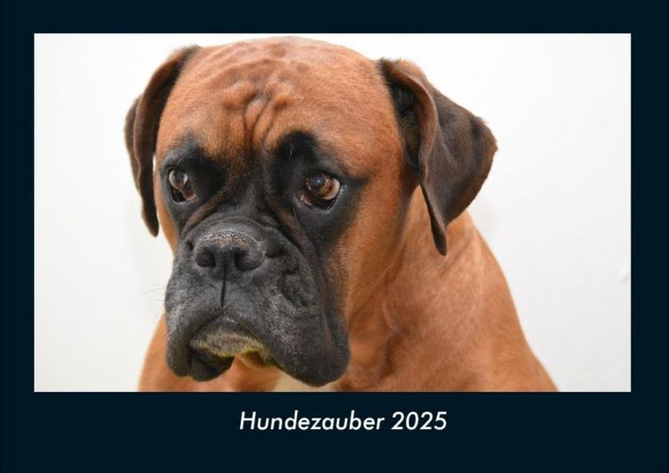 Produktbild: Hundezauber 2025 Fotokalender DIN A4