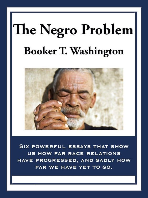 Produktbild: The Negro Problem