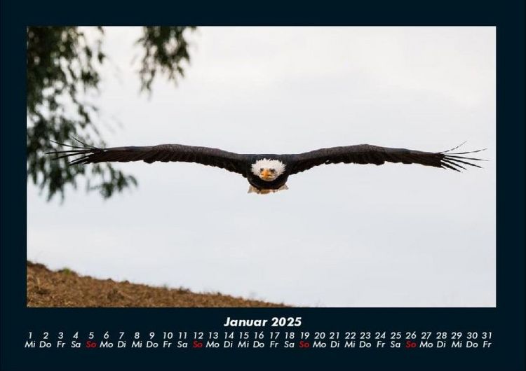 Produktbild: Adler 2025 Fotokalender DIN A4
