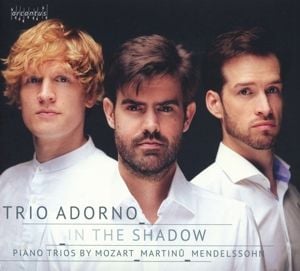 Produktbild: In the Shadow
