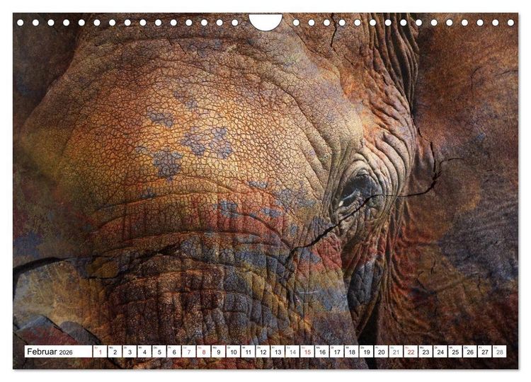 Produktbild: Emotionale Momente: African Dreams (Wandkalender 2026 DIN A4 quer), CALVENDO Monatskalender