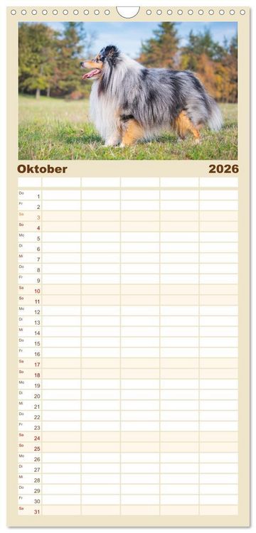 Produktbild: Familienplaner 2026 - Sheltie - Ein St&uuml;ck vom Gl&uuml;ck mit 5 Spalten (Wandkalender, 21 x 45 cm) CALVENDO