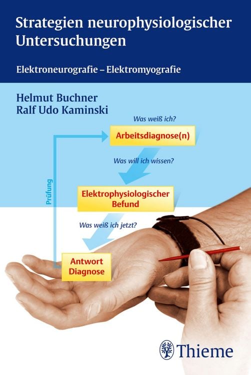 Produktbild: Strategien neurophysiologischer Untersuchungen