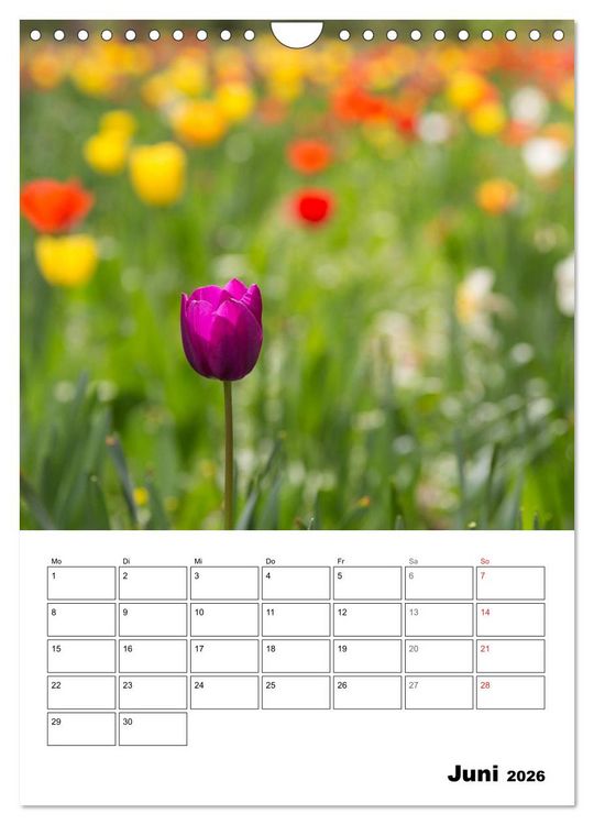Produktbild: Farben der Natur (Wandkalender 2026 DIN A4 hoch), CALVENDO Monatskalender
