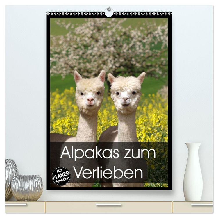 Produktbild: Alpakas zum Verlieben (hochwertiger Premium Wandkalender 2026 DIN A2 hoch), Kunstdruck in Hochglanz