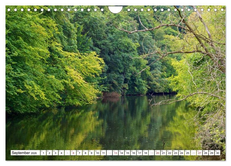 Produktbild: B&auml;che, Fl&uuml;sse, Seen - Wasser in der Eifel (Wandkalender 2026 DIN A4 quer), CALVENDO Monatskalender