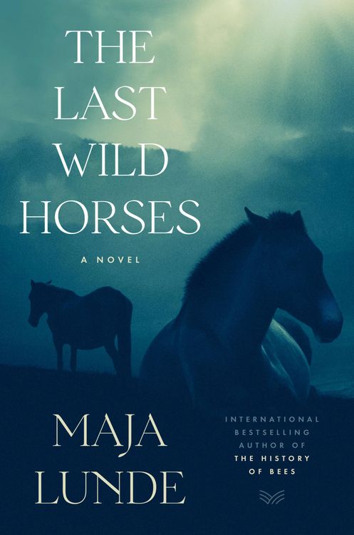 Produktbild: The Last Wild Horses