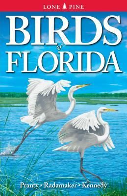 Produktbild: Birds of Florida