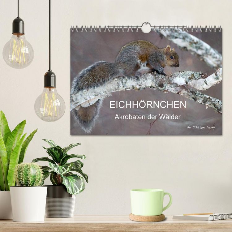 Produktbild: EICHH&Ouml;RNCHEN (Wandkalender 2026 DIN A4 quer), CALVENDO Monatskalender