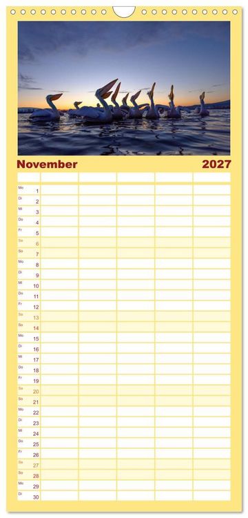 Produktbild: Familienplaner 2027 - Krauskopfpelikane mit 5 Spalten (Wandkalender, 21 x 45 cm) CALVENDO