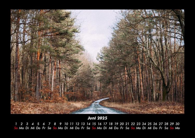 Produktbild: Waldzauber 2025 Fotokalender DIN A3