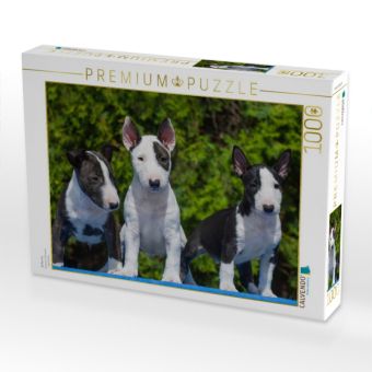 Produktbild: CALVENDO Puzzle Bullterrier | 1000 Teile Lege-Gr&ouml;&szlig;e 64x48cm Foto-Puzzle f&uuml;r gl&uuml;ckliche Stunden