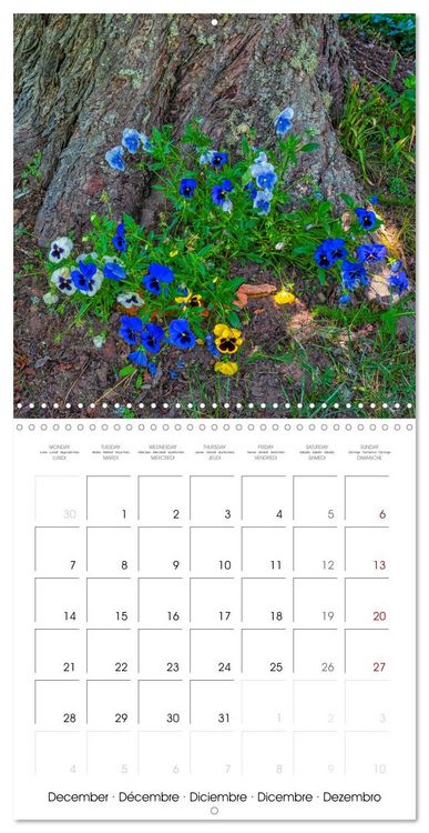 Produktbild: Harmonie Florale Des Pr&eacute;s aux Villes (Calendrier mural carr&eacute; 2026 30x30 cm) Calendrier double avec une page pour vos prises de notes