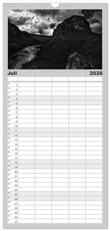 Produktbild: Familienplaner 2026 - Gothic Fantasy mit 5 Spalten (Wandkalender, 21 x 45 cm) CALVENDO