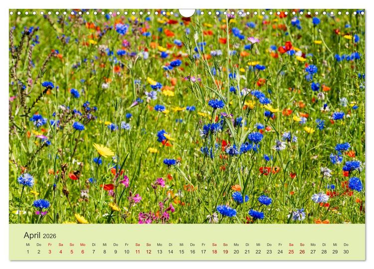 Produktbild: Wilde Blumen - ein Spaziergang durch die Natur (Wandkalender 2026 DIN A3 quer), CALVENDO Monatskalender