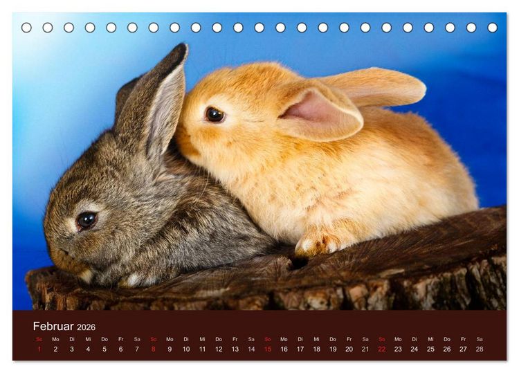 Produktbild: Lustige Kaninchen (Tischkalender 2026 DIN A5 quer), CALVENDO Monatskalender