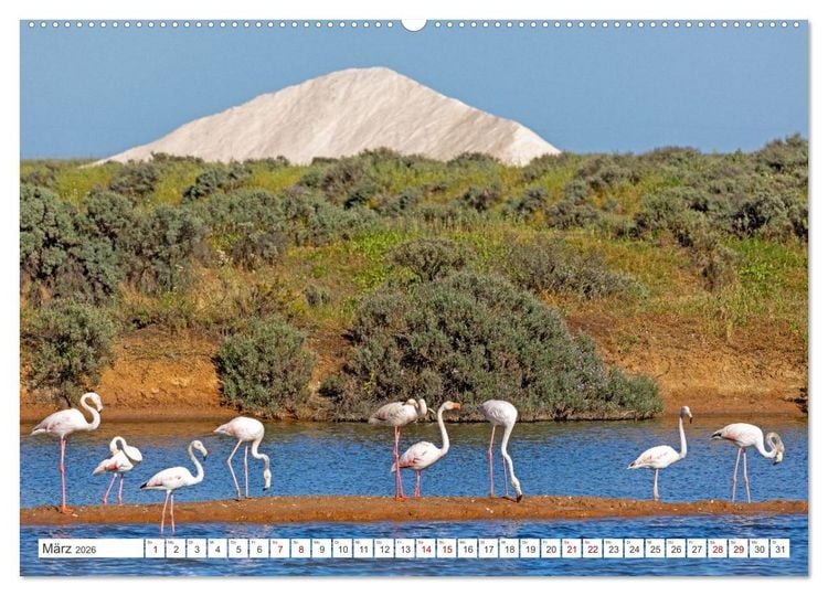 Produktbild: Die Sandalgarve - Der flache K&uuml;stenabschnitt im S&uuml;dosten Portugals (hochwertiger Premium Wandkalender 2026 DIN A2 quer), Kunstdruck in Hochglanz