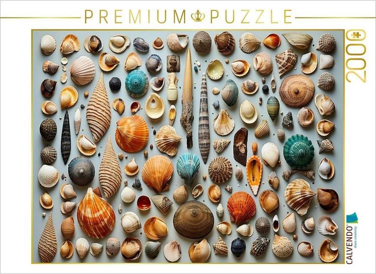 Produktbild: CALVENDO Puzzle Nach dem Strandspaziergang - Muscheln und Schnecken | 2000 Teile Lege-Gr&ouml;&szlig;e 90x67cm Foto-Puzzle f&uuml;r gl&uuml;ckliche Stunden
