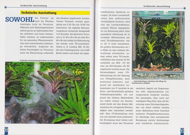 Produktbild: Der Schreckliche Pfeilgiftfrosch