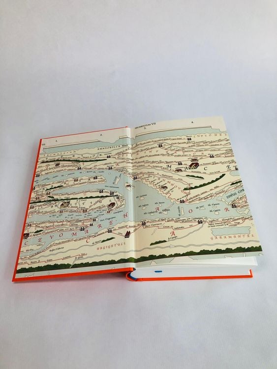 Die Bücherjägerin