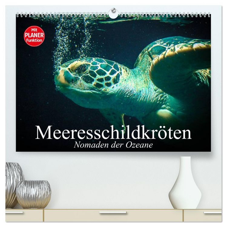 Produktbild: Meeresschildkr&ouml;ten. Nomaden der Ozeane (hochwertiger Premium Wandkalender 2026 DIN A2 quer), Kunstdruck in Hochglanz