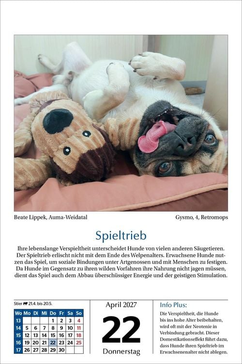 Produktbild: Hunde Tageskalender 2027