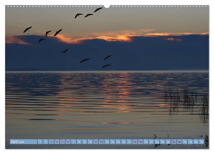 Produktbild: Stralsund und die Boddenlandschaft (hochwertiger Premium Wandkalender 2026 DIN A2 quer), Kunstdruck in Hochglanz