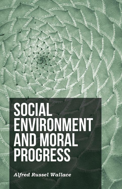 Produktbild: Social Environment and Moral Progress