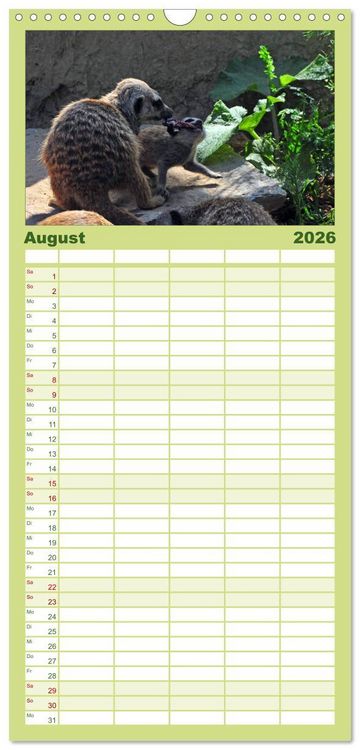 Produktbild: Familienplaner 2026 - Erdm&auml;nnchens Kinderstube mit 5 Spalten (Wandkalender, 21 x 45 cm) CALVENDO