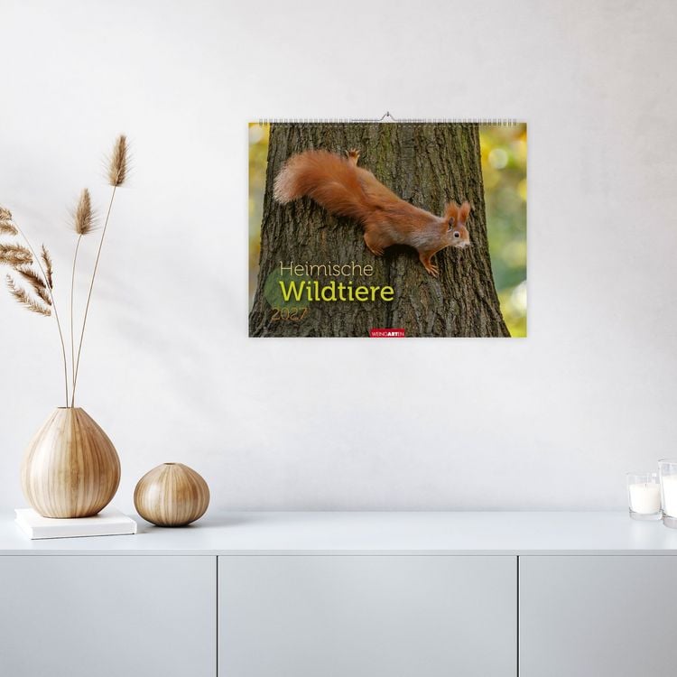 Produktbild: Heimische Wildtiere Kalender 2027