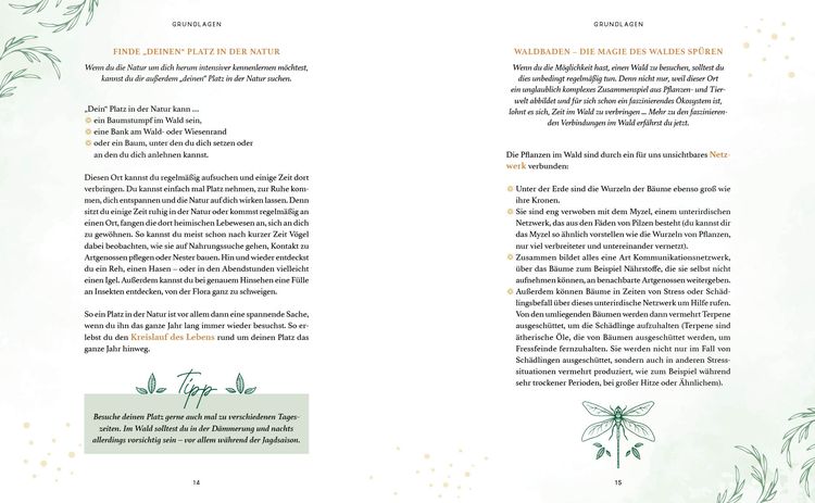 Produktbild: Zaubernuss und Waldmagie – Naturmomente für deine Seele
