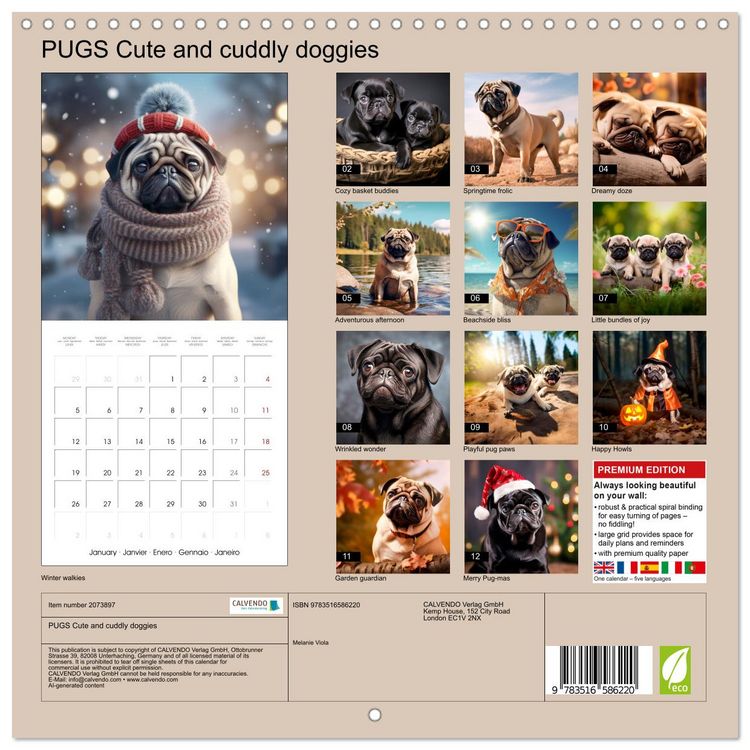 Produktbild: PUGS Cute and cuddly doggies (Wall Calendar 2026 12 &times; 12 Inch) CALVENDO 12 Month Wall Calendar