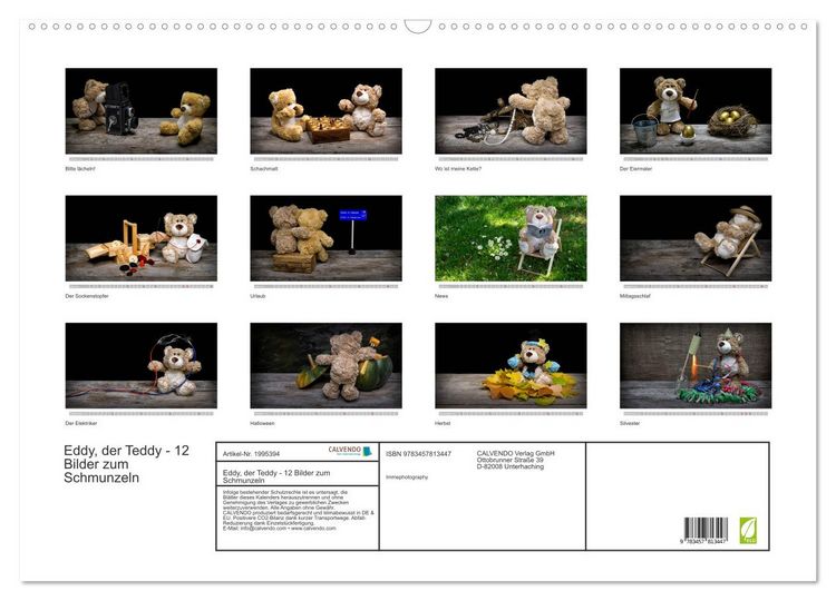 Produktbild: Eddy, der Teddy - 12 Bilder zum Schmunzeln (Wandkalender 2026 DIN A2 quer), CALVENDO Monatskalender
