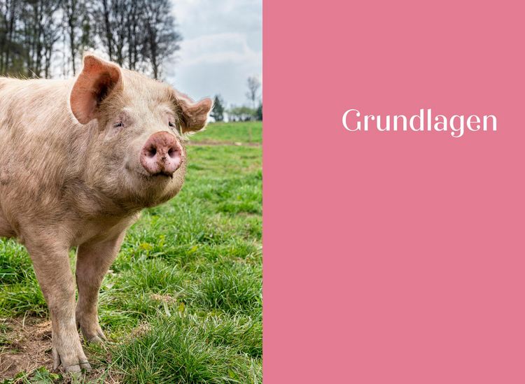 Produktbild: Das ganze Schwein