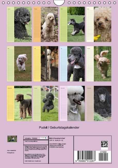 Produktbild: Pudel / Geburtstagskalender (Wandkalender immerw&auml;hrend DIN A4 hoch)