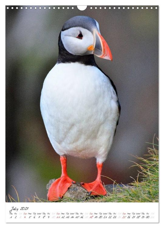 Produktbild: Iceland Calendar 2027 - Discover unique nature - UK Version (Wall Calendar 2027 DIN A3 portrait), CALVENDO 12 Month Wall Calendar