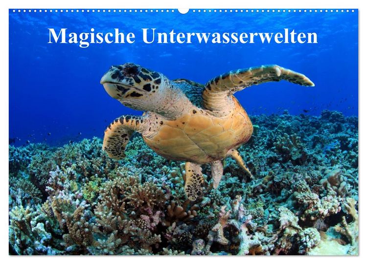 Produktbild: Magische Unterwasserwelten (Wandkalender 2026 DIN A2 quer), CALVENDO Monatskalender