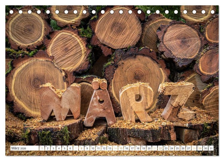 Produktbild: Holz, ein fantastischer Rohstoff. (Tischkalender 2026 DIN A5 quer), CALVENDO Monatskalender