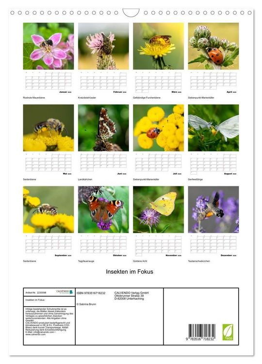Produktbild: Insekten im Fokus (Wandkalender 2026 DIN A3 hoch), CALVENDO Monatskalender