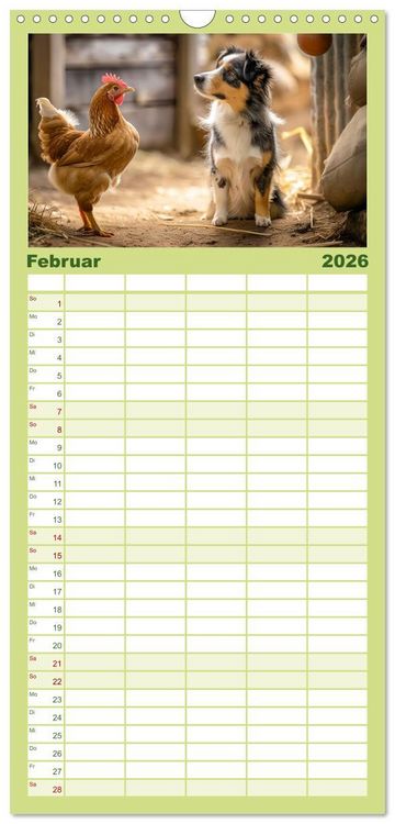 Produktbild: Familienplaner 2026 - Bauernhof-Freunde - Hunde und ihre tierischen Freundschaften mit 5 Spalten (Wandkalender, 21 x 45 cm) CALVENDO