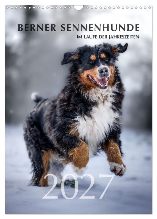 Produktbild: Berner Sennenhunde im Laufe der Jahreszeiten (Wandkalender 2027 DIN A3 hoch), CALVENDO Monatskalender