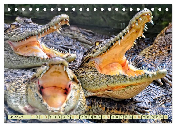 Produktbild: Urzeitreptilien - Krokodil (Tischkalender 2026 DIN A5 quer), CALVENDO Monatskalender