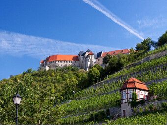 Produktbild: CALVENDO Puzzle Freyburg, Neuenburg | 1000 Teile Lege-Gr&ouml;&szlig;e 64x48cm Foto-Puzzle f&uuml;r gl&uuml;ckliche Stunden